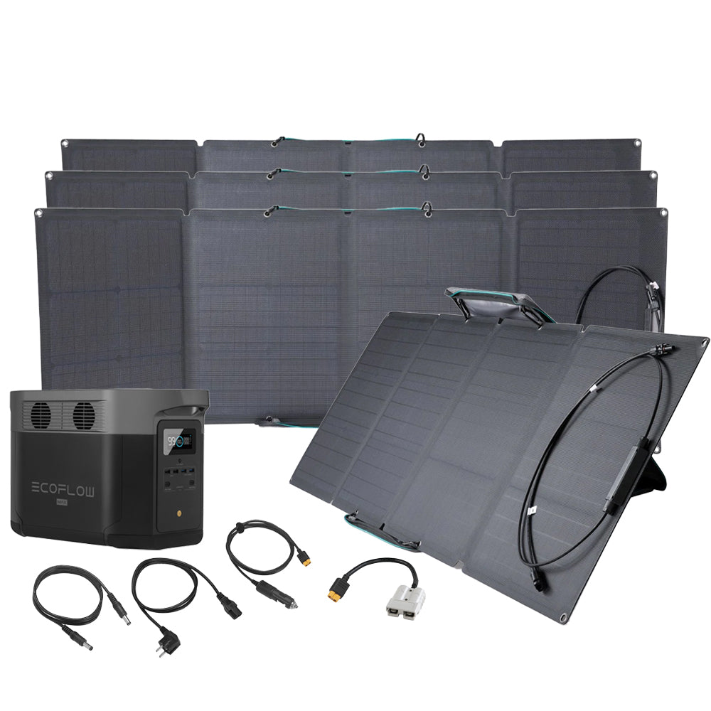 Bundle EcoFlow Delta Max 1600 + 4x 110W Solartasche