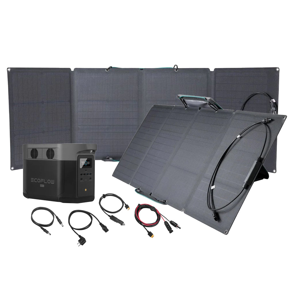 Bundle EcoFlow Delta Max 2000 + 2x 110W Solartasche