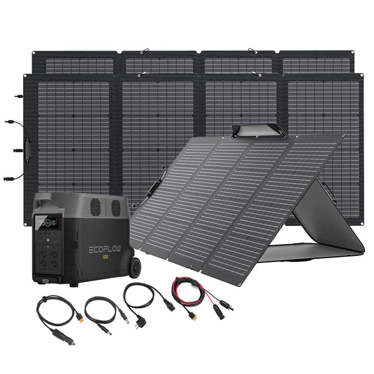 Bundle EcoFlow Delta Pro + 3x 220W Solartasche