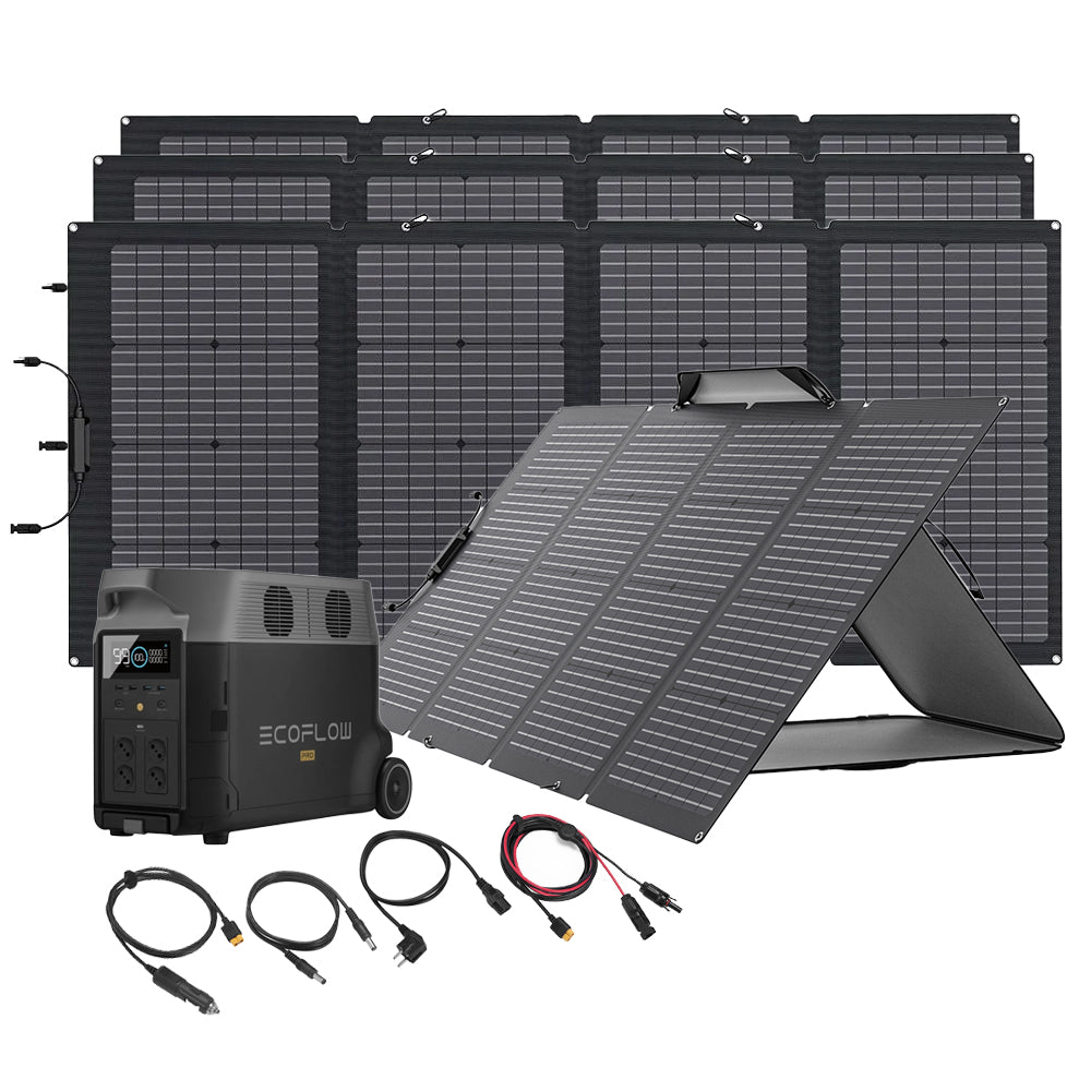 Bundle EcoFlow Delta Pro + 4x 220W Solartasche